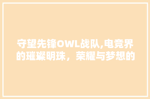 守望先锋OWL战队,电竞界的璀璨明珠，荣耀与梦想的交织之地