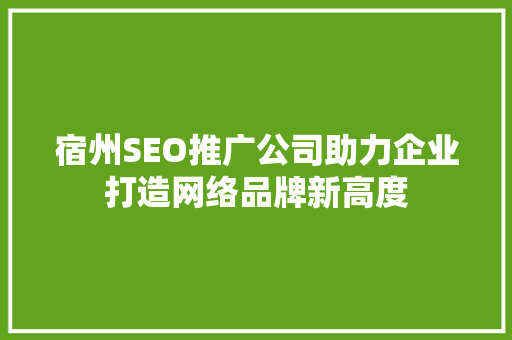 宿州SEO推广公司助力企业打造网络品牌新高度 搜狗SEO