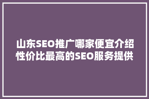 山东SEO推广哪家便宜介绍性价比最高的SEO服务提供商 GoogleSEO