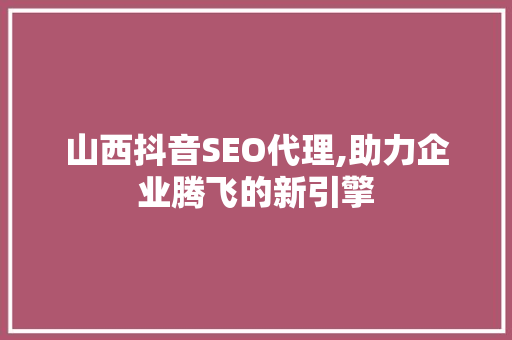 山西抖音SEO代理,助力企业腾飞的新引擎