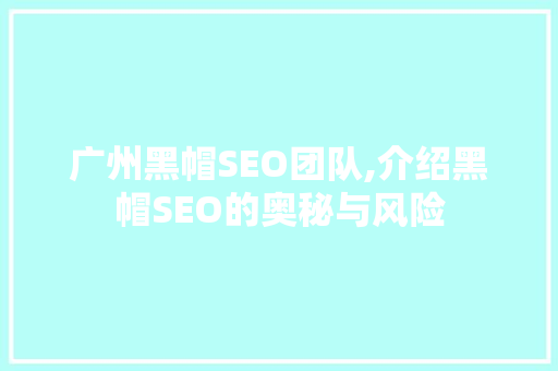 广州黑帽SEO团队,介绍黑帽SEO的奥秘与风险 GoogleSEO
