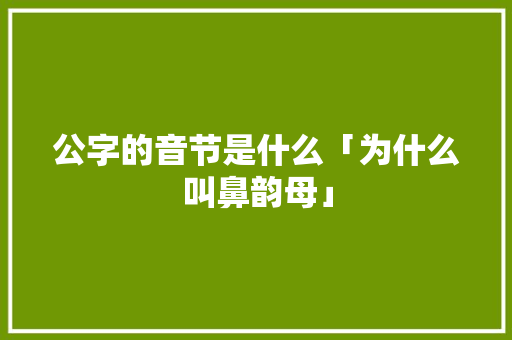 公字的音节是什么「为什么叫鼻韵母」 公字的音节是什么「为什么叫鼻韵母」 搜狗SEO