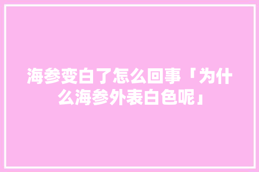海参变白了怎么回事「为什么海参外表白色呢」 海参变白了怎么回事「为什么海参外表白色呢」 GoogleSEO