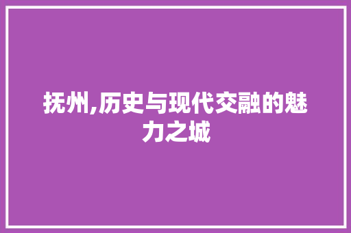 抚州,历史与现代交融的魅力之城 GoogleSEO