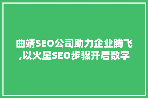 曲靖SEO公司助力企业腾飞,以火星SEO步骤开启数字营销新篇章