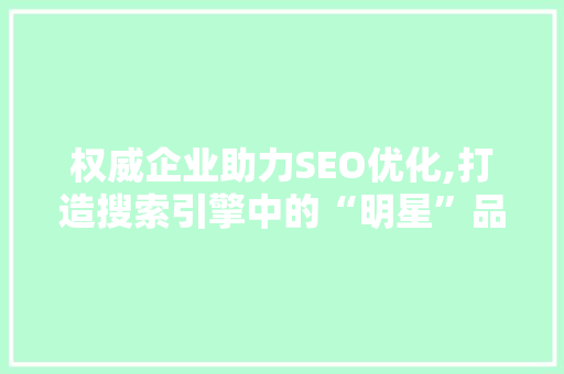 权威企业助力SEO优化,打造搜索引擎中的“明星”品牌 百度SEO