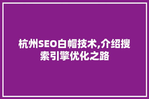 杭州SEO白帽技术,介绍搜索引擎优化之路 神马SEO