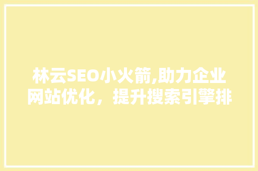 林云SEO小火箭,助力企业网站优化，提升搜索引擎排名