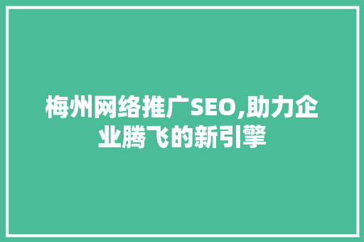 梅州网络推广SEO,助力企业腾飞的新引擎