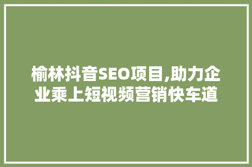 榆林抖音SEO项目,助力企业乘上短视频营销快车道