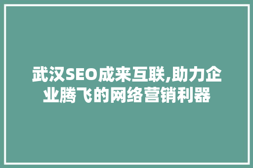 武汉SEO成来互联,助力企业腾飞的网络营销利器 GoogleSEO