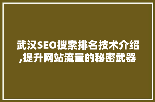 武汉SEO搜索排名技术介绍,提升网站流量的秘密武器 GoogleSEO
