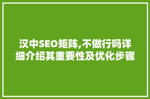 汉中SEO矩阵,不做行吗详细介绍其重要性及优化步骤