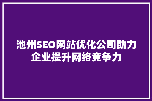 池州SEO网站优化公司助力企业提升网络竞争力