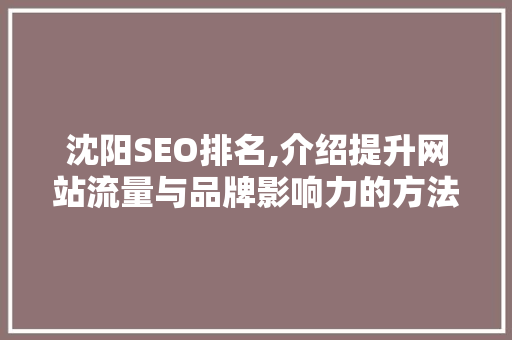 沈阳SEO排名,介绍提升网站流量与品牌影响力的方法