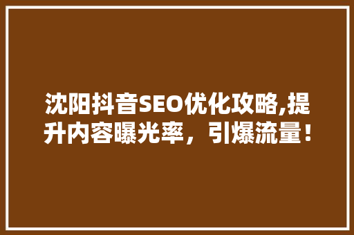 沈阳抖音SEO优化攻略,提升内容曝光率，引爆流量！ GoogleSEO