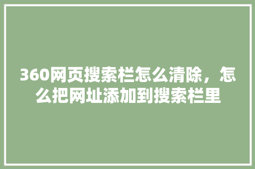 360网页搜索栏怎么清除，怎么把网址添加到搜索栏里 必应SEO