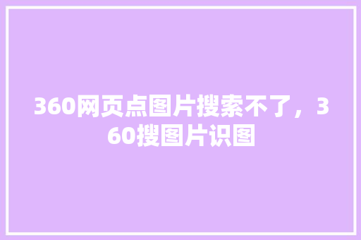 360网页点图片搜索不了，360搜图片识图