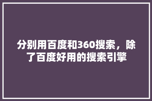 分别用百度和360搜索，除了百度好用的搜索引擎