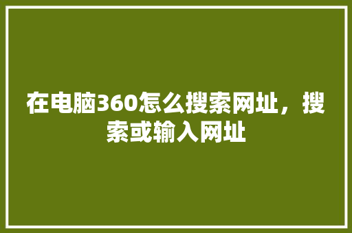 在电脑360怎么搜索网址，搜索或输入网址 搜狗SEO