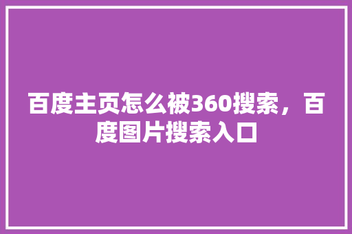 百度主页怎么被360搜索，百度图片搜索入口 必应SEO