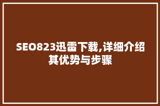 SEO823迅雷下载,详细介绍其优势与步骤 必应SEO