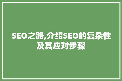 SEO之路,介绍SEO的复杂性及其应对步骤 百度SEO
