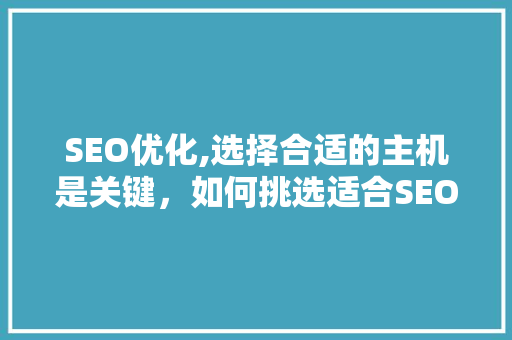 SEO优化,选择合适的主机是关键，如何挑选适合SEO的主机 GoogleSEO