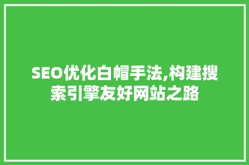 SEO优化白帽手法,构建搜索引擎友好网站之路