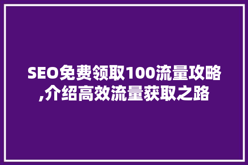 SEO免费领取100流量攻略,介绍高效流量获取之路 GoogleSEO
