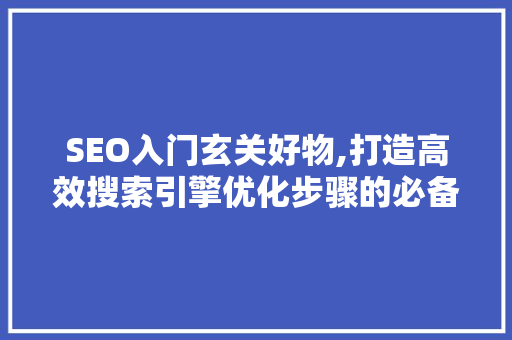 SEO入门玄关好物,打造高效搜索引擎优化步骤的必备利器 必应SEO