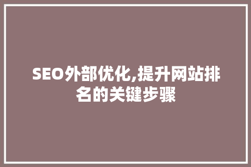 SEO外部优化,提升网站排名的关键步骤