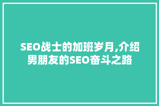 SEO战士的加班岁月,介绍男朋友的SEO奋斗之路 必应SEO
