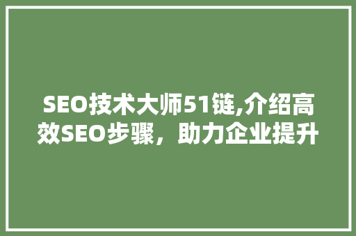SEO技术大师51链,介绍高效SEO步骤，助力企业提升网络曝光度