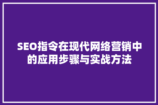 SEO指令在现代网络营销中的应用步骤与实战方法 GoogleSEO