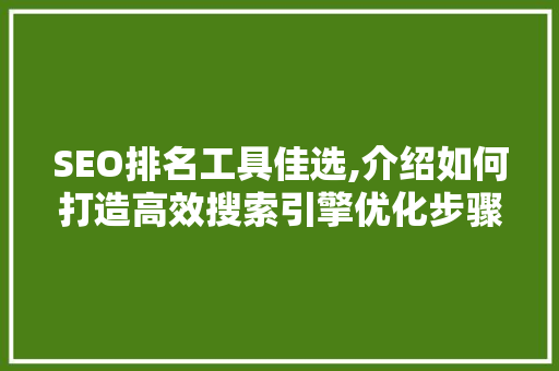 SEO排名工具佳选,介绍如何打造高效搜索引擎优化步骤 GoogleSEO