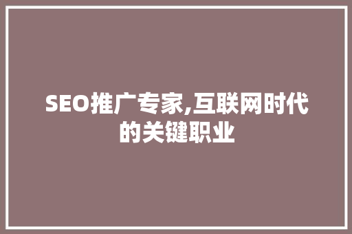 SEO推广专家,互联网时代的关键职业