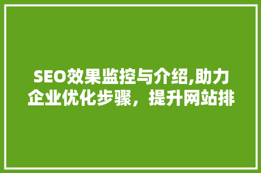 SEO效果监控与介绍,助力企业优化步骤，提升网站排名 百度SEO