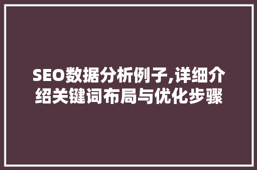 SEO数据分析例子,详细介绍关键词布局与优化步骤 搜狗SEO