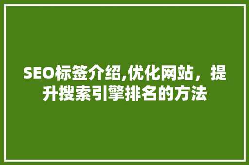 SEO标签介绍,优化网站，提升搜索引擎排名的方法