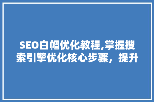 SEO白帽优化教程,掌握搜索引擎优化核心步骤，提升网站排名 神马SEO