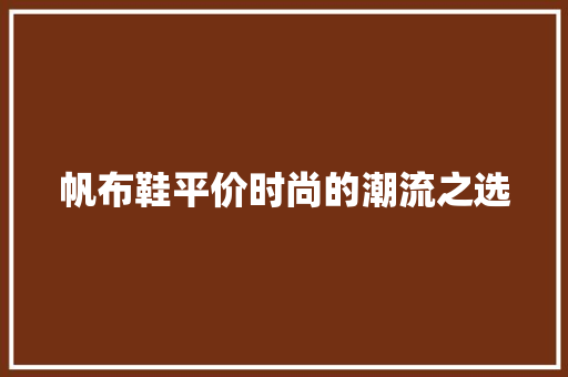 帆布鞋平价时尚的潮流之选 必应SEO
