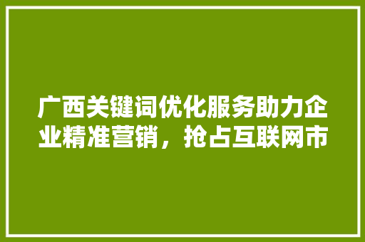 广西关键词优化服务助力企业精准营销，抢占互联网市场先机 搜狗SEO