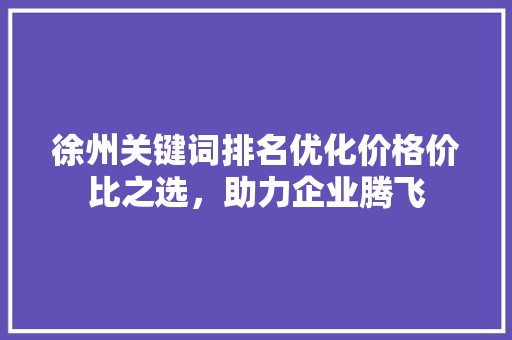 徐州关键词排名优化价格价比之选，助力企业腾飞 搜狗SEO