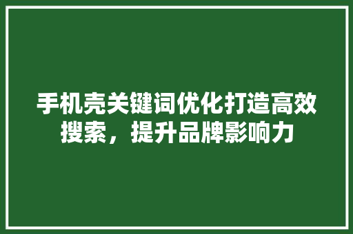 手机壳关键词优化打造高效搜索，提升品牌影响力