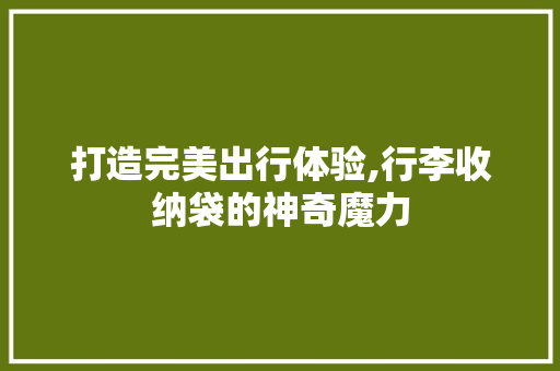 打造完美出行体验,行李收纳袋的神奇魔力