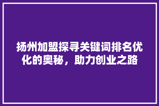 扬州加盟探寻关键词排名优化的奥秘，助力创业之路