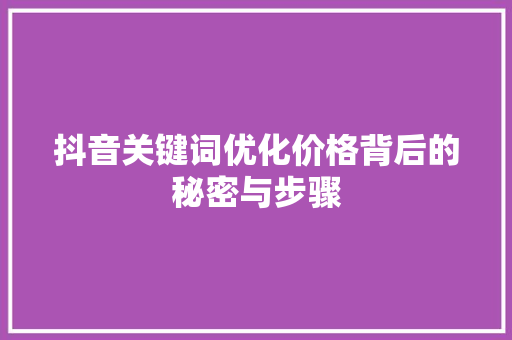 抖音关键词优化价格背后的秘密与步骤 百度SEO