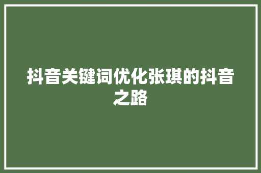 抖音关键词优化张琪的抖音之路 百度SEO