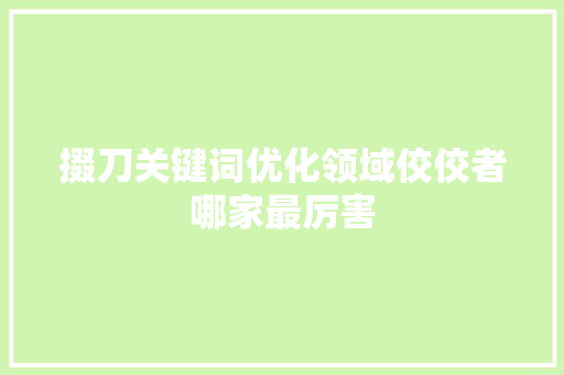 掇刀关键词优化领域佼佼者哪家最厉害 百度SEO